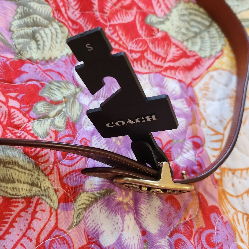 Women small coach signature belt - Picture 1 of 7